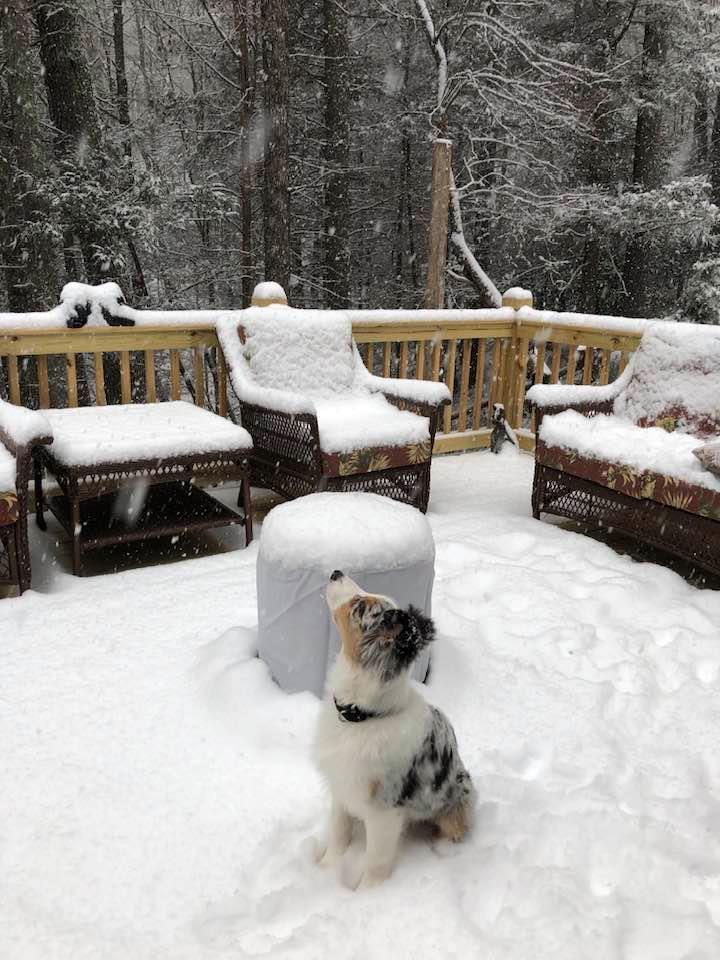 420235 Suches Residential