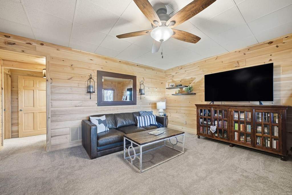 420253 Blue Ridge Residential