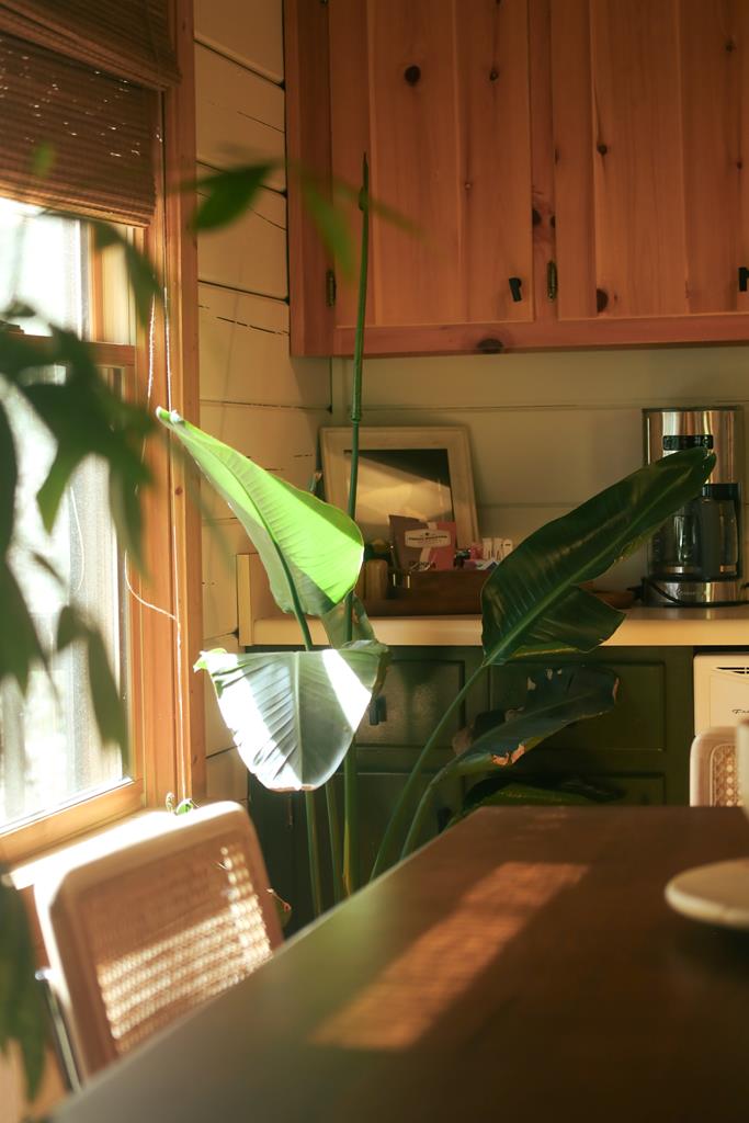 420255 Blue Ridge Residential