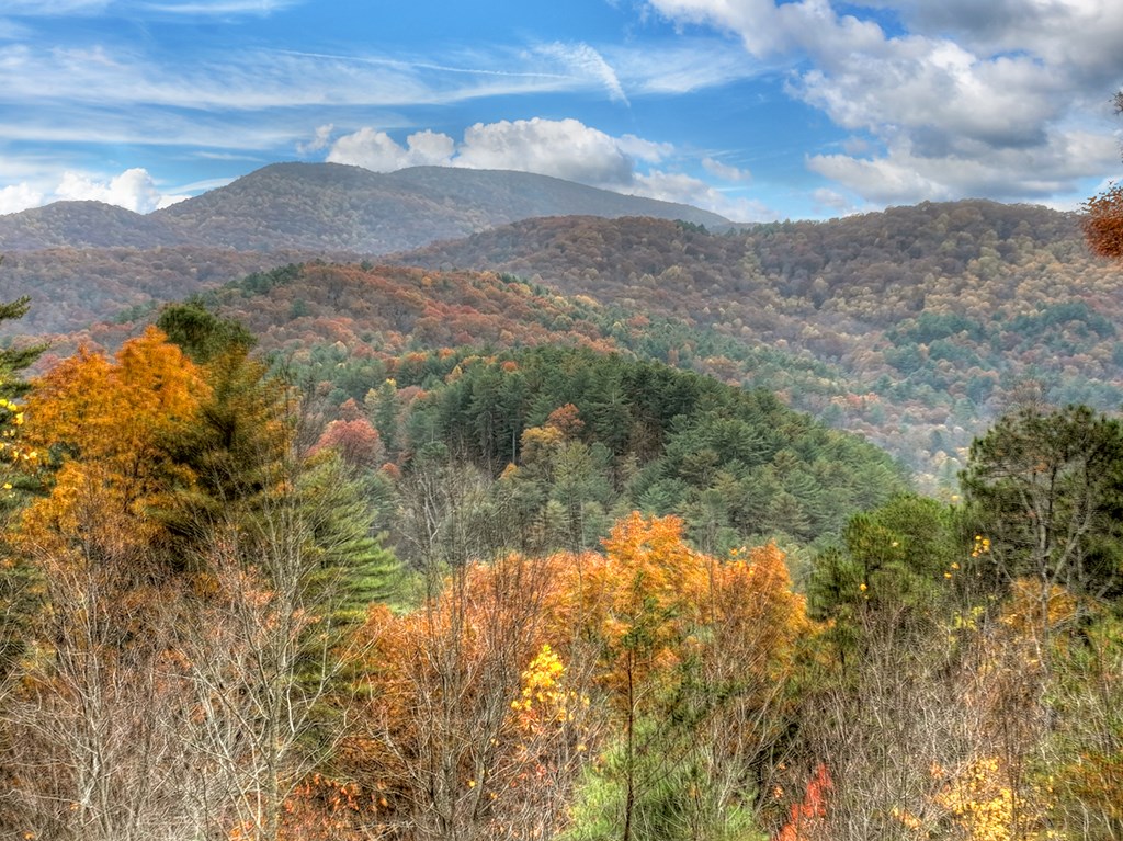 420258 Cherry Log Residential