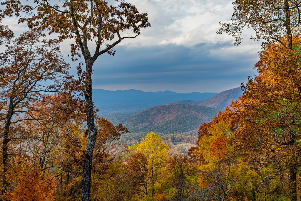 420261 Ellijay Residential