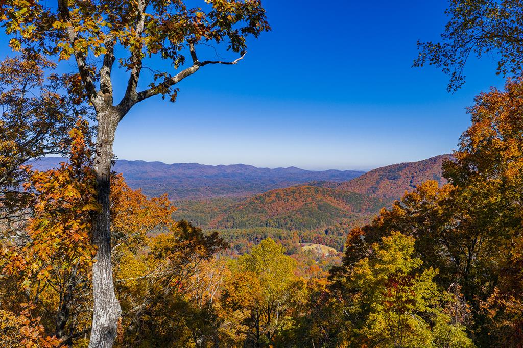 420261 Ellijay Residential