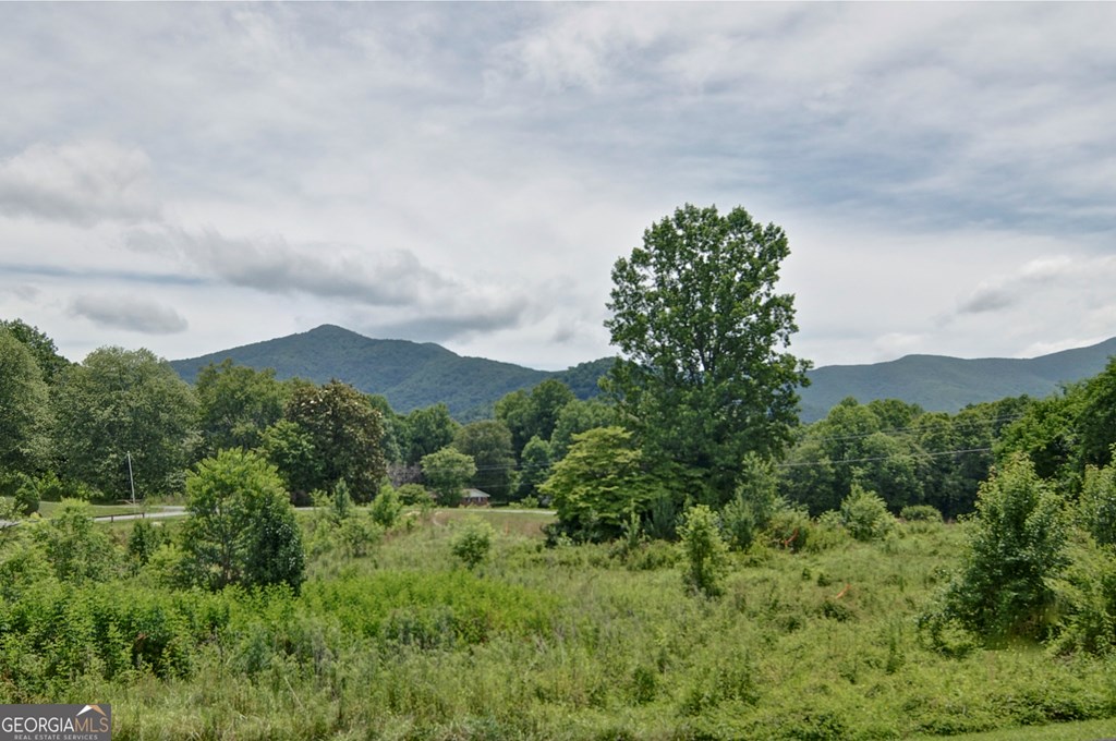 420273 Young Harris Residential