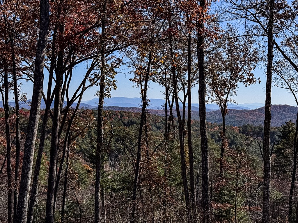 420281 Murphy Residential