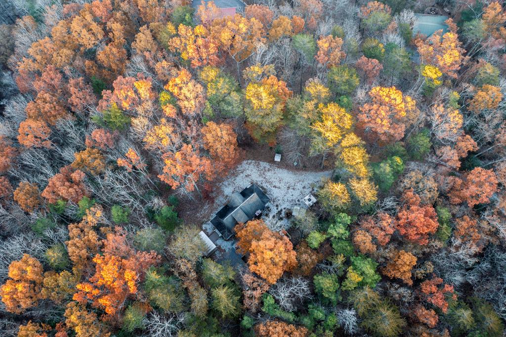 420288 Blue Ridge Residential