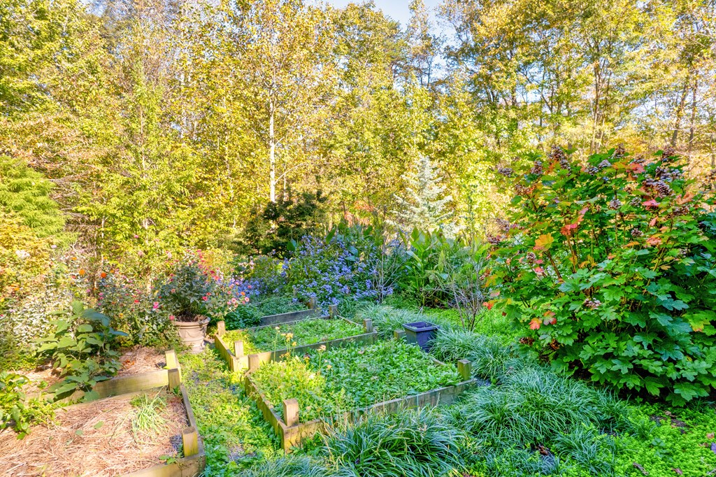 420301 Ellijay Residential