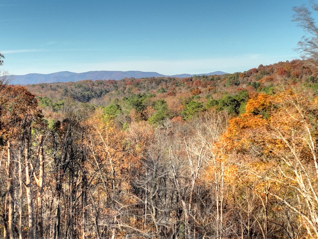 420308 Ellijay Residential