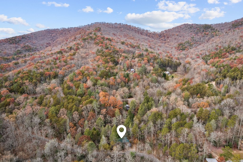 420309 Ellijay Residential