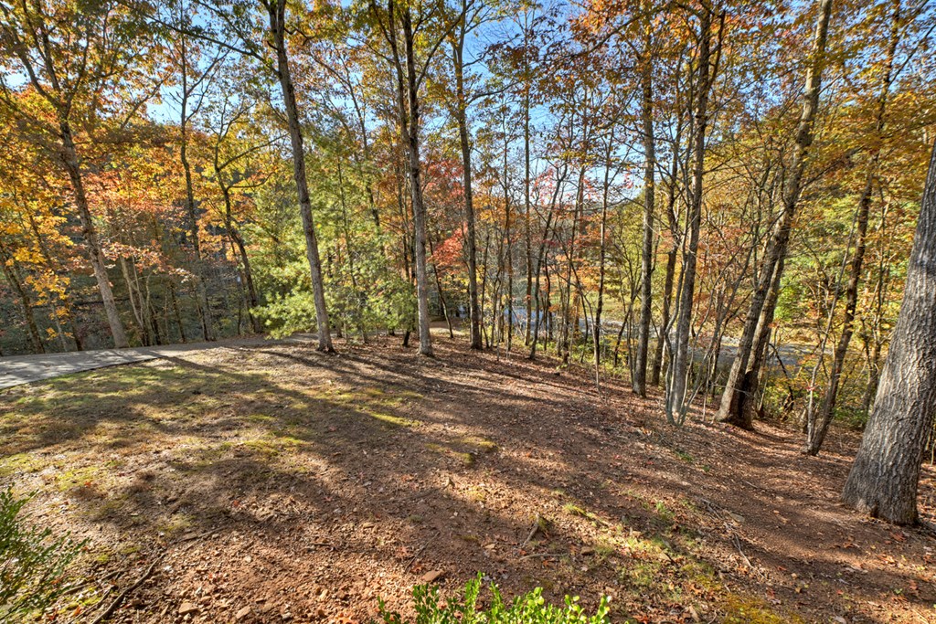 420314 Blue Ridge Residential