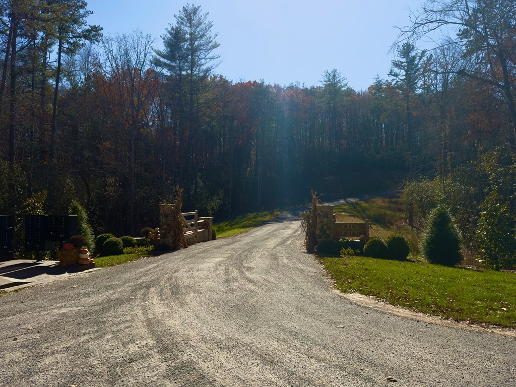 420322 Mineral Bluff Residential