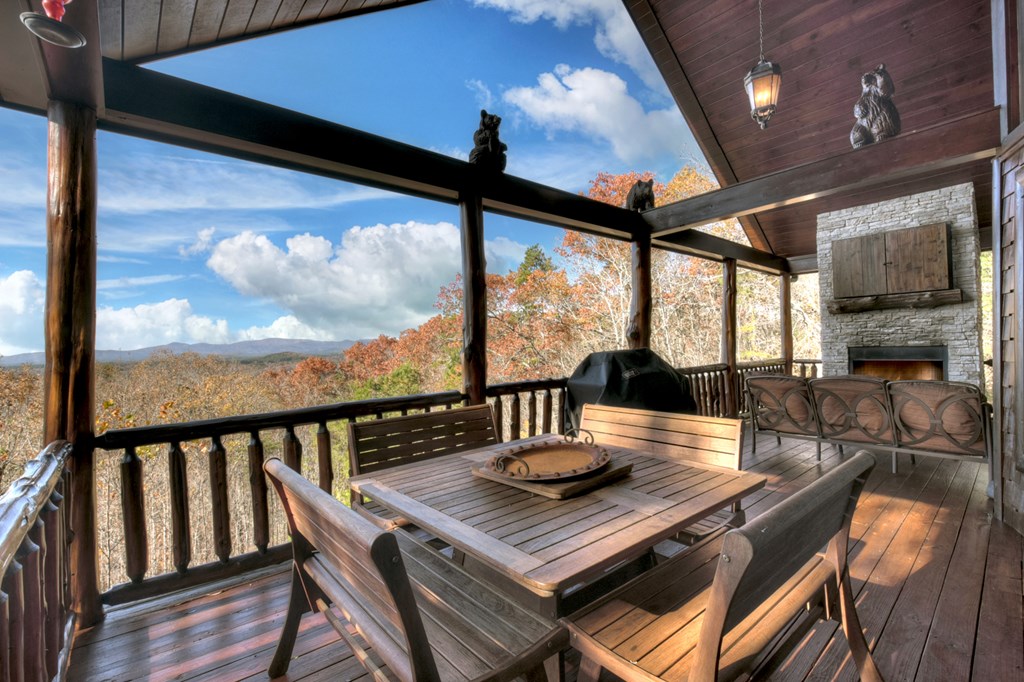 420350 Mineral Bluff Residential