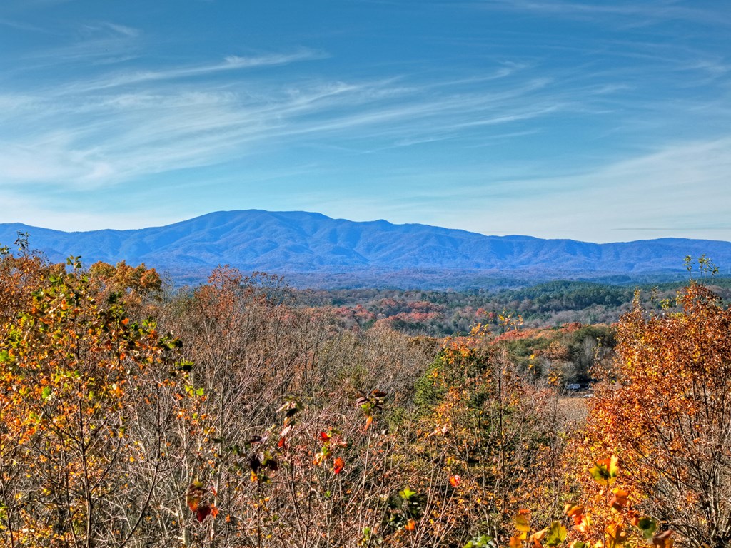 420350 Mineral Bluff Residential