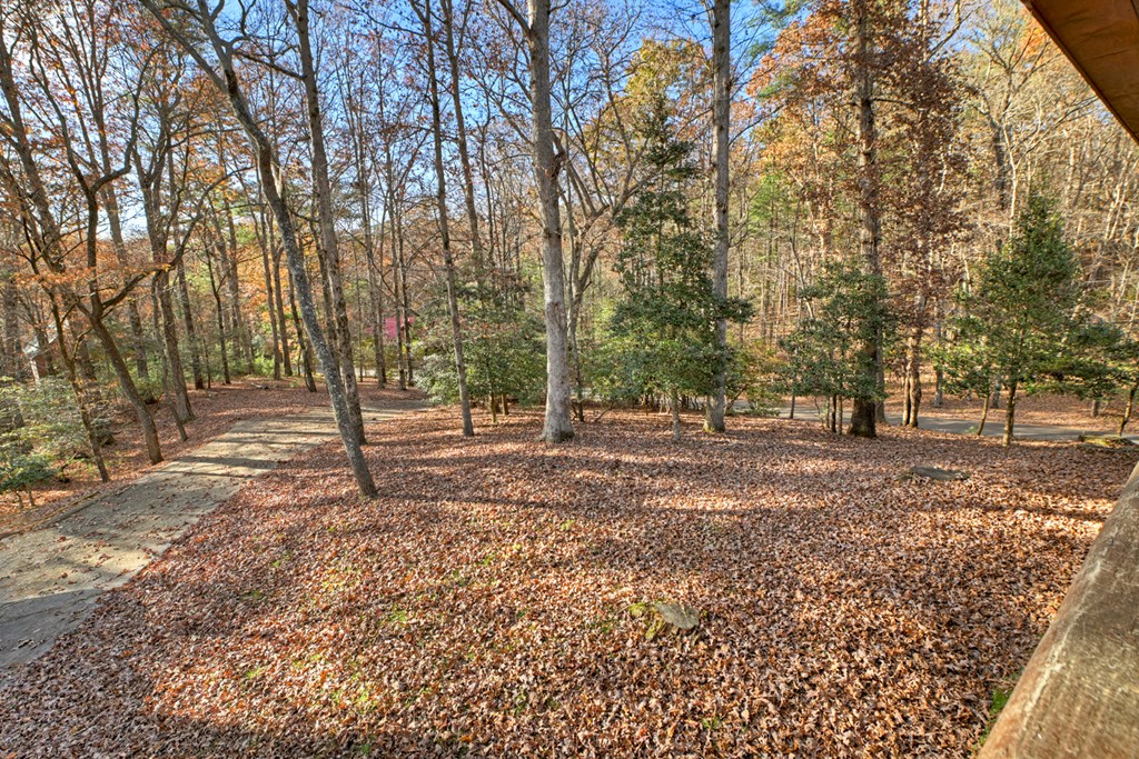 420361 Ellijay Residential