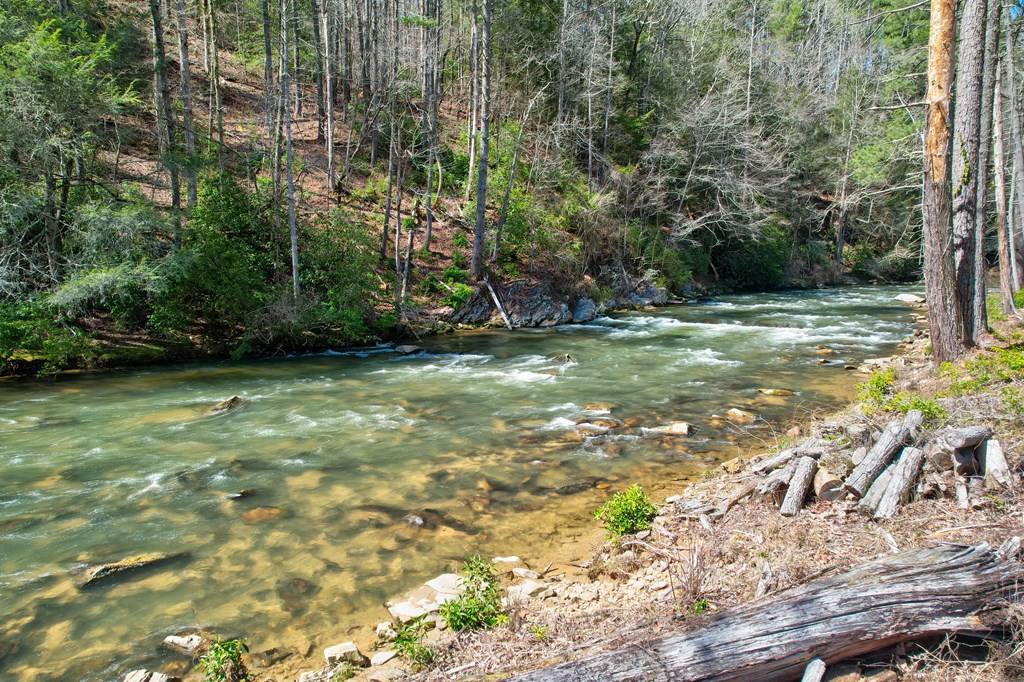 420362 Ellijay Residential