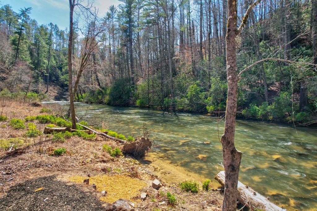 420362 Ellijay Residential