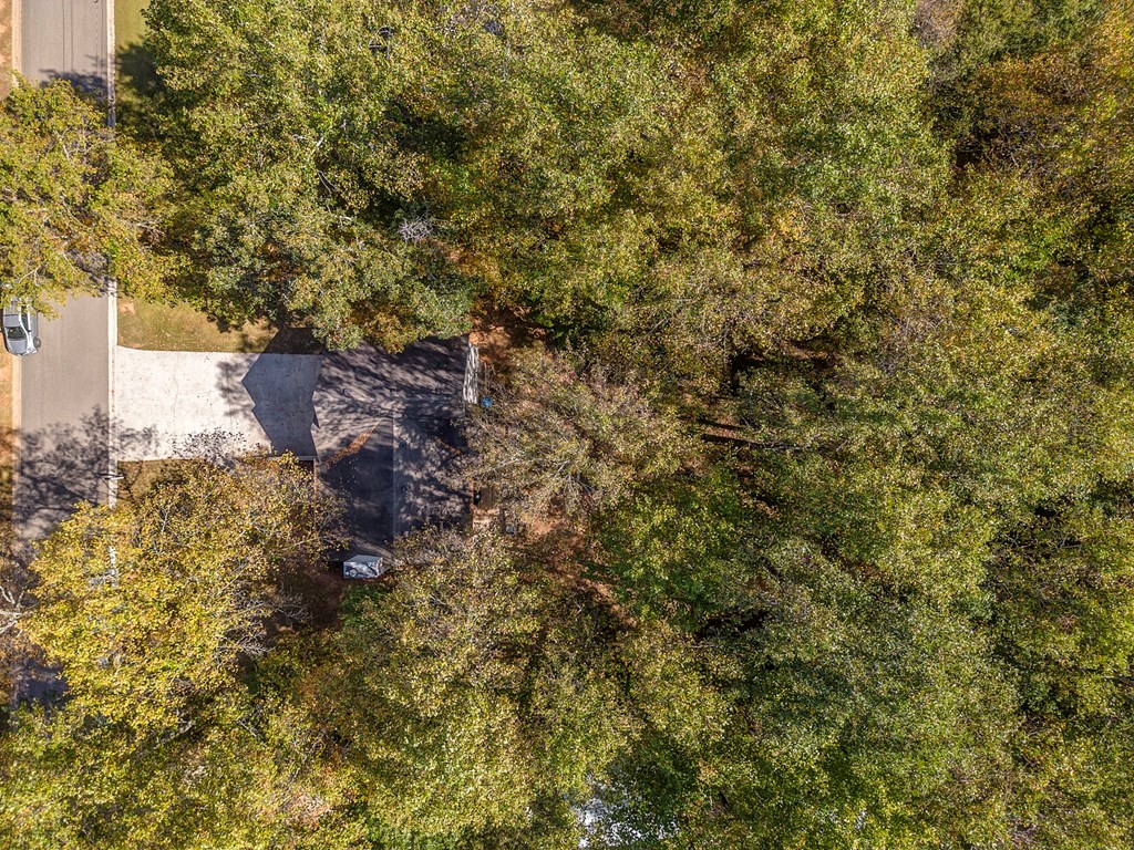 420365 Jasper Residential