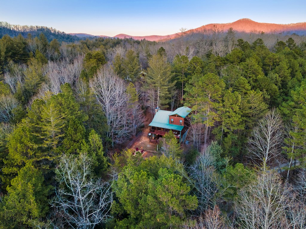 420372 Blue Ridge Residential