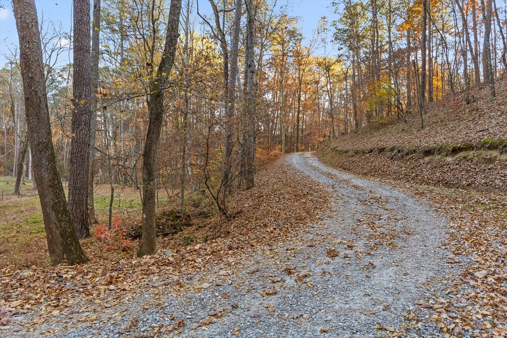 420382 Chatsworth Residential