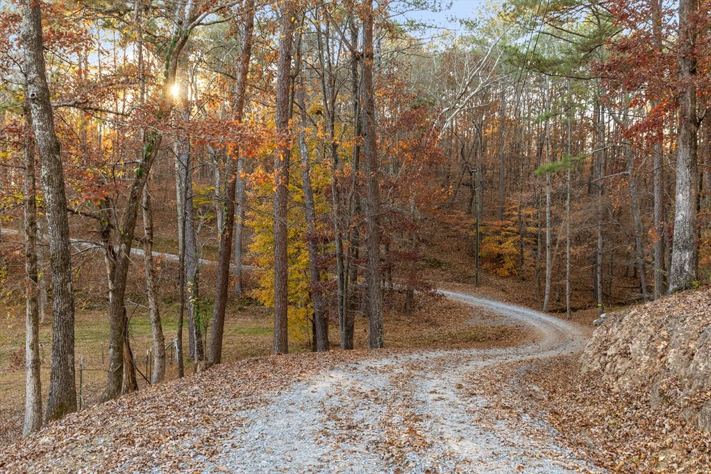 420382 Chatsworth Residential