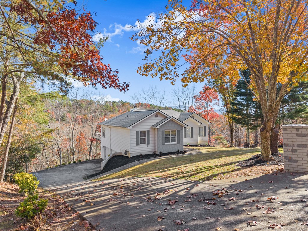 420384 Jasper Residential