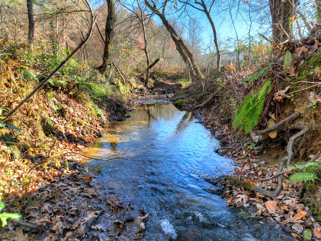 420387 Mineral Bluff Residential