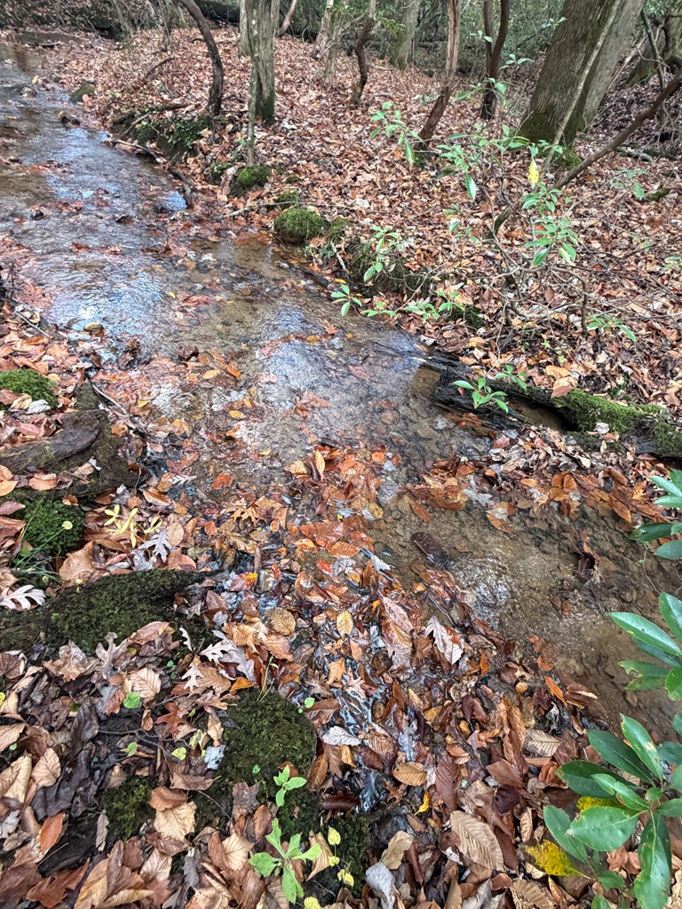 420394 Blue Ridge Residential