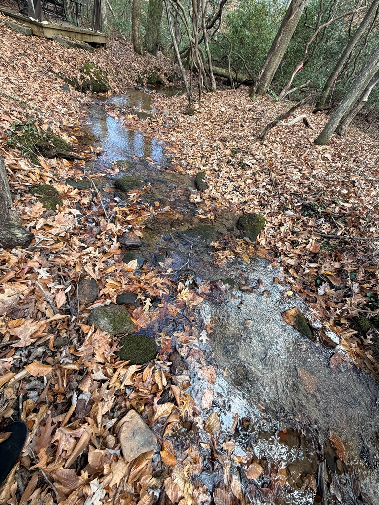 420394 Blue Ridge Residential