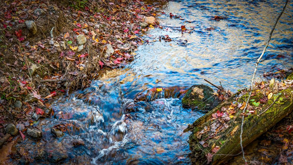 420403 Blue Ridge Residential