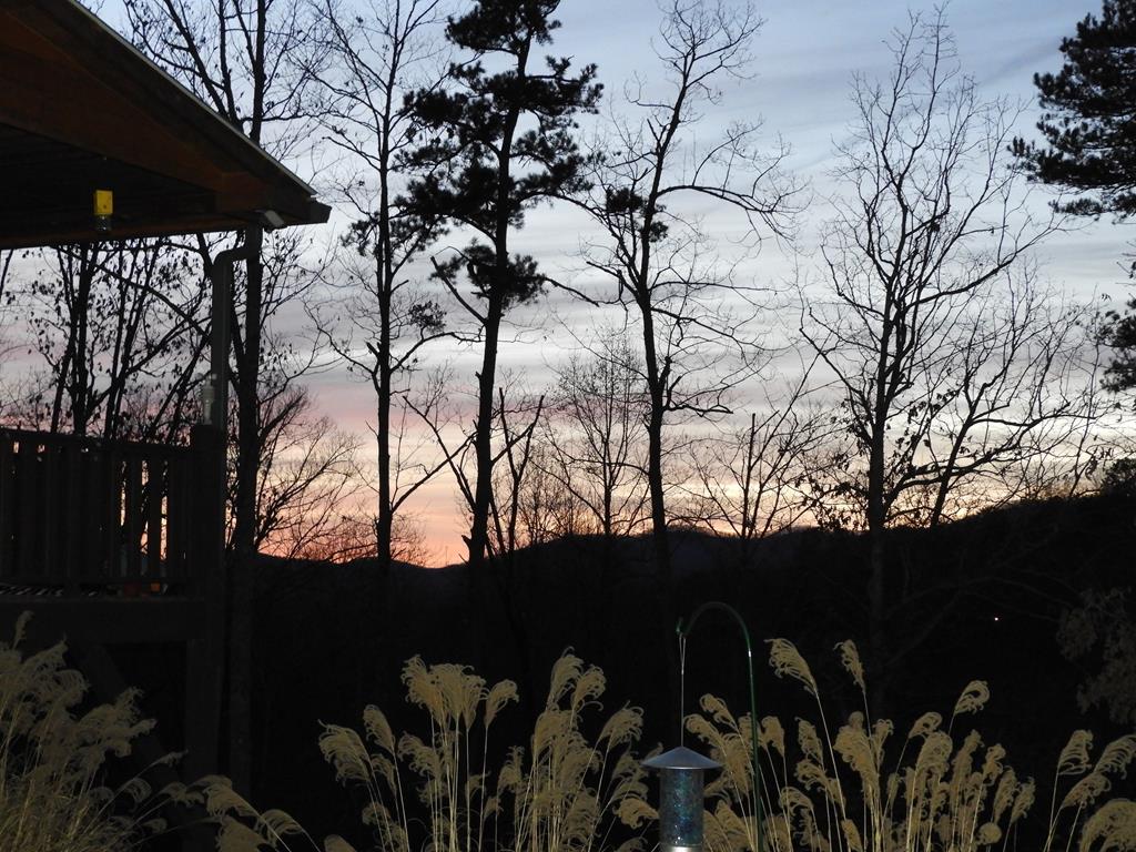 420405 Murphy Residential