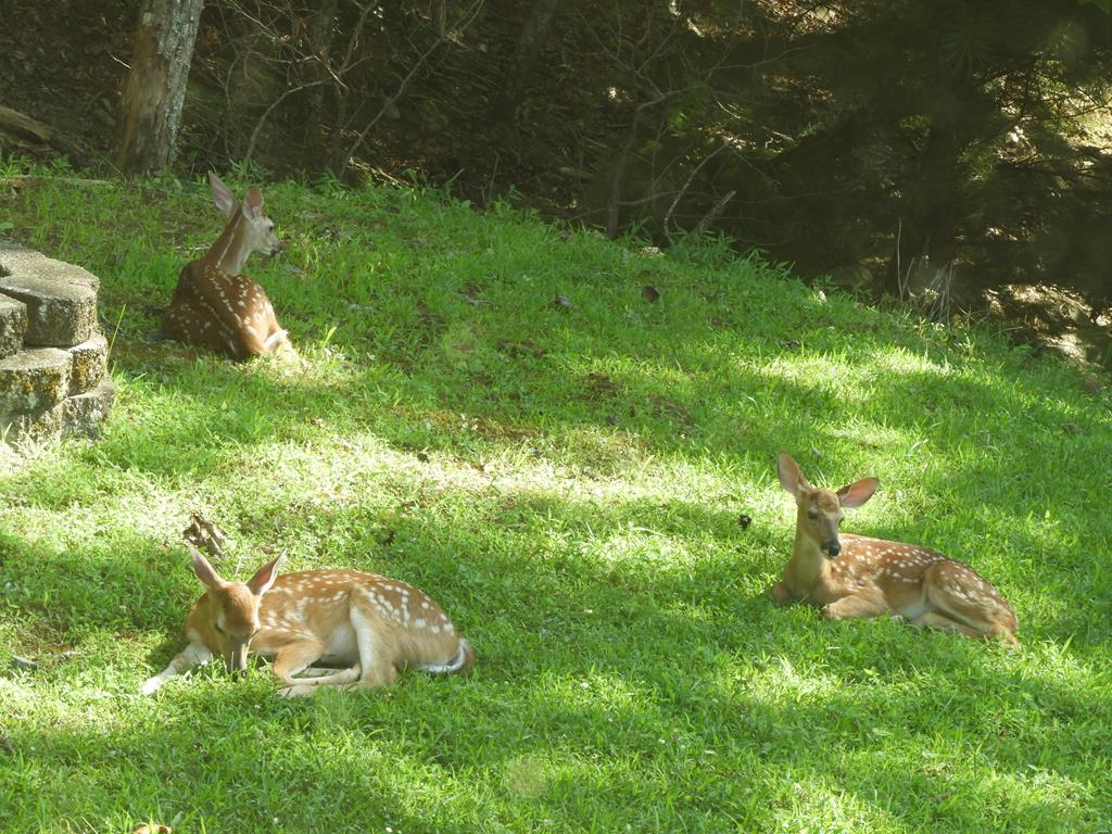 420405 Murphy Residential