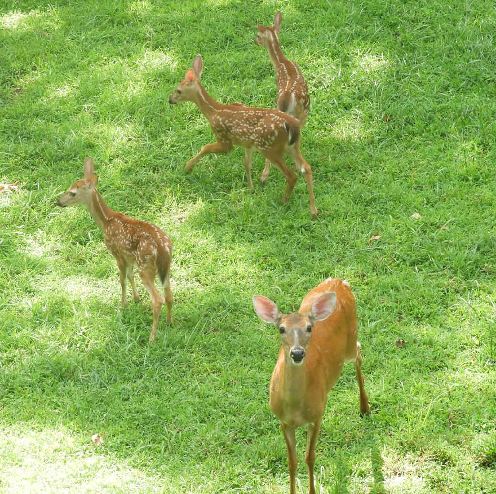 420405 Murphy Residential