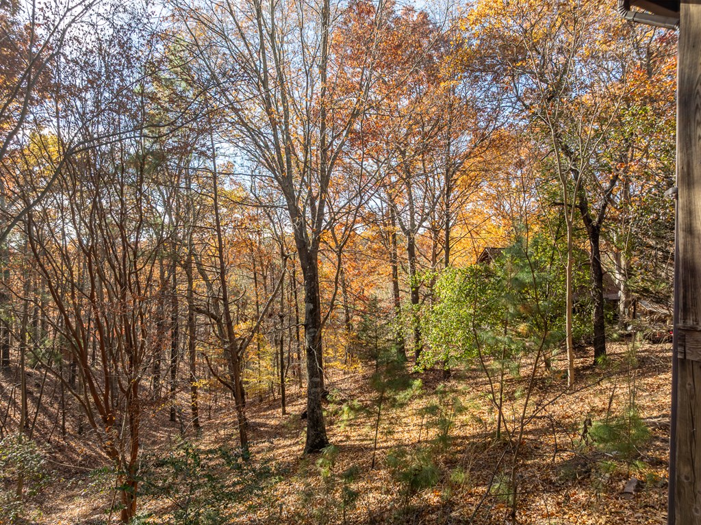 420406 Ellijay Residential