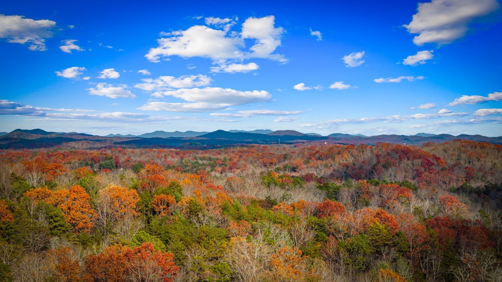 420417 Blue Ridge Residential