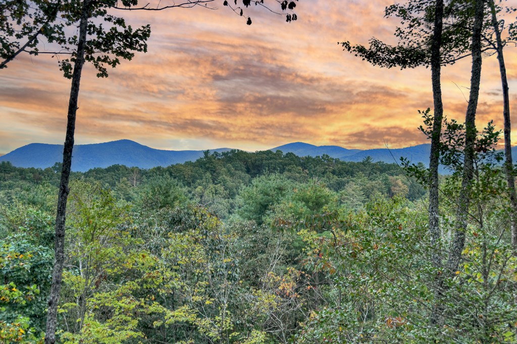 420459 Ellijay Residential