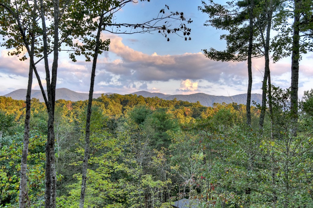 420459 Ellijay Residential