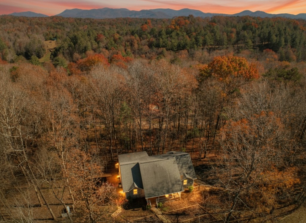 420462 Ellijay Residential