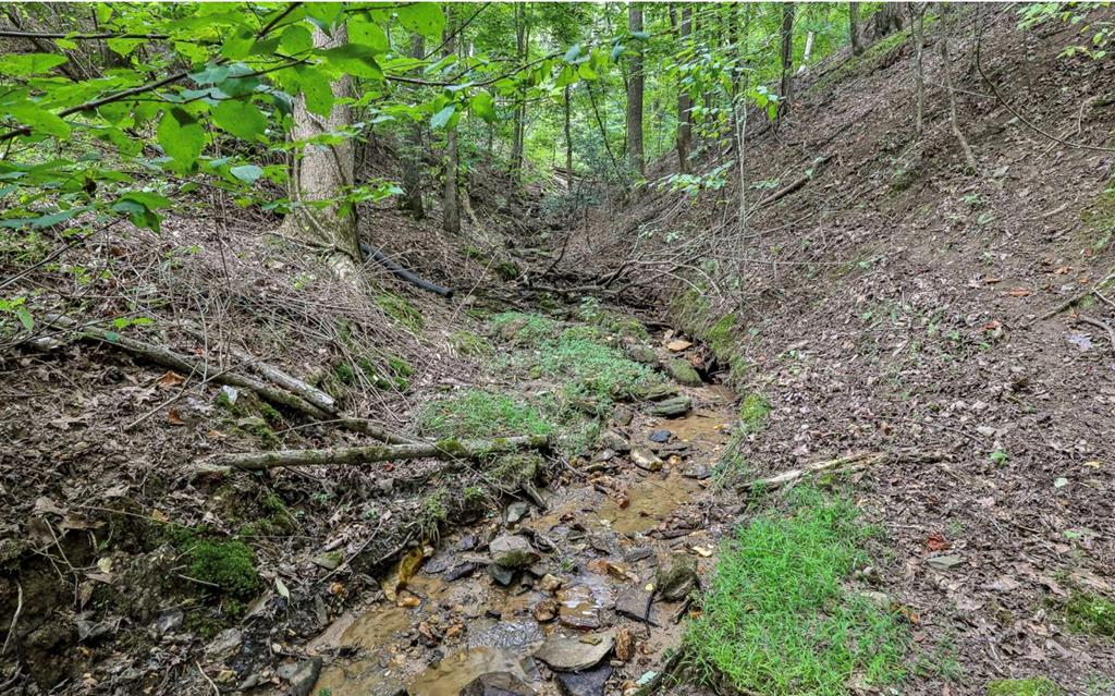 420463 Ellijay Residential