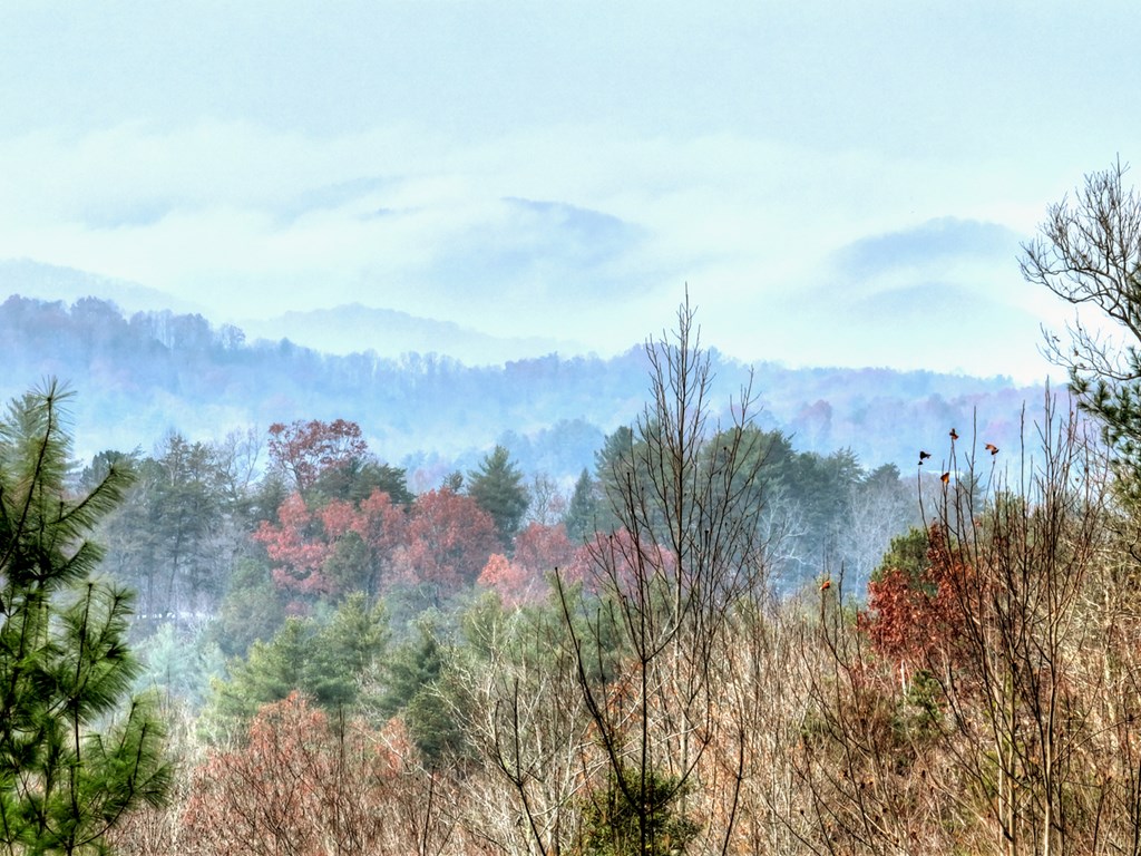 420466 Ellijay Residential