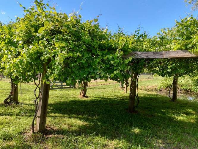 420482 Blairsville Residential