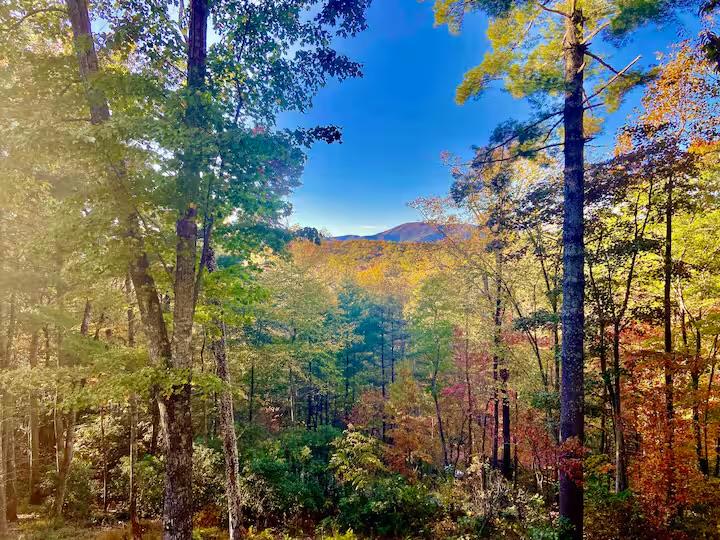 420491 Blue Ridge Residential