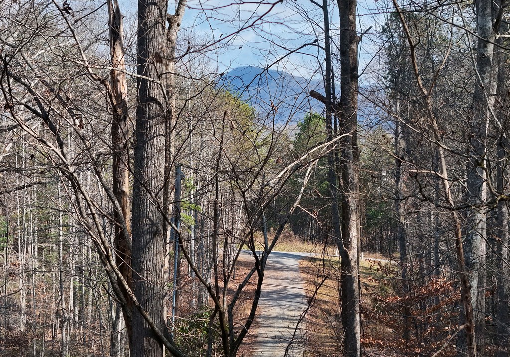 420492 Blairsville Residential