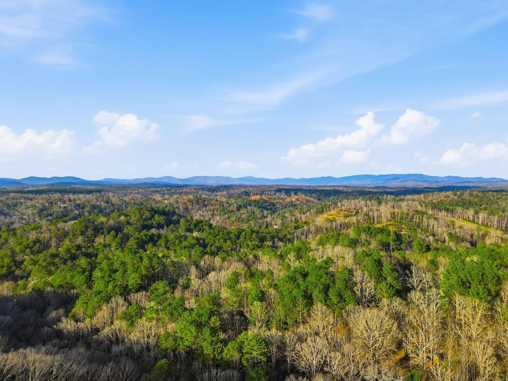 420508 Ellijay Residential