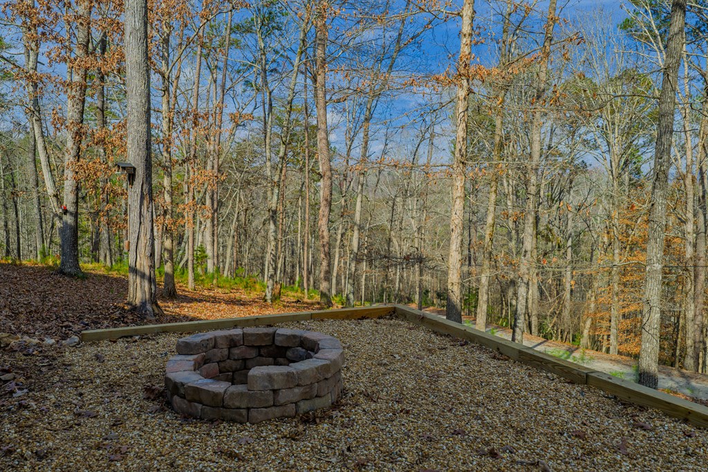 420510 Ellijay Residential