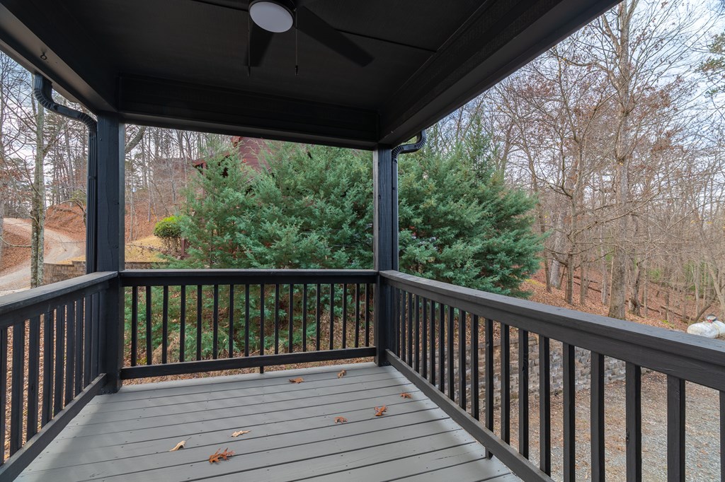 420510 Ellijay Residential