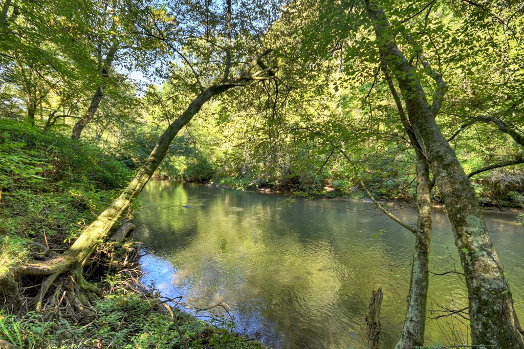 420530 Ellijay Residential