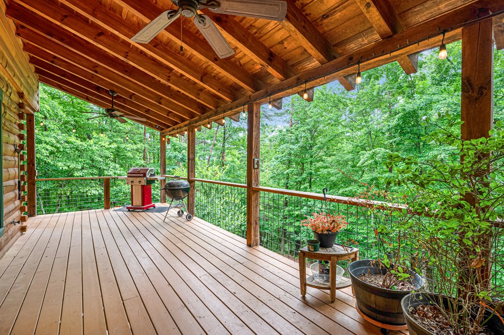 420541 Ellijay Residential