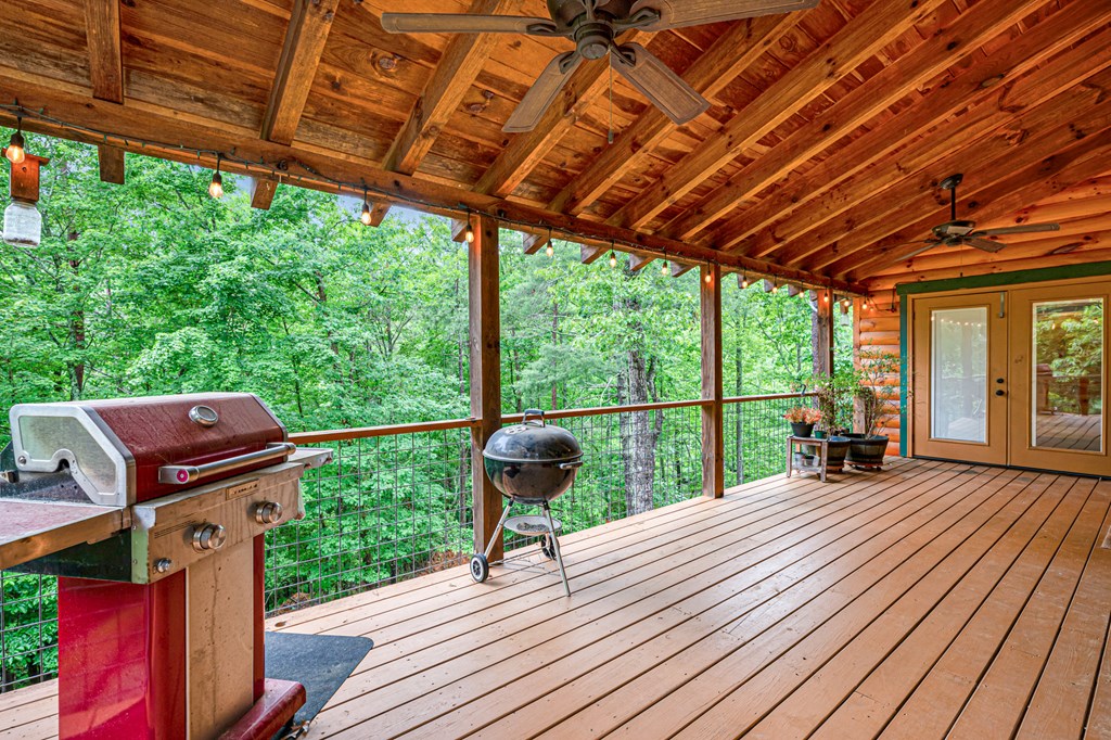 420541 Ellijay Residential