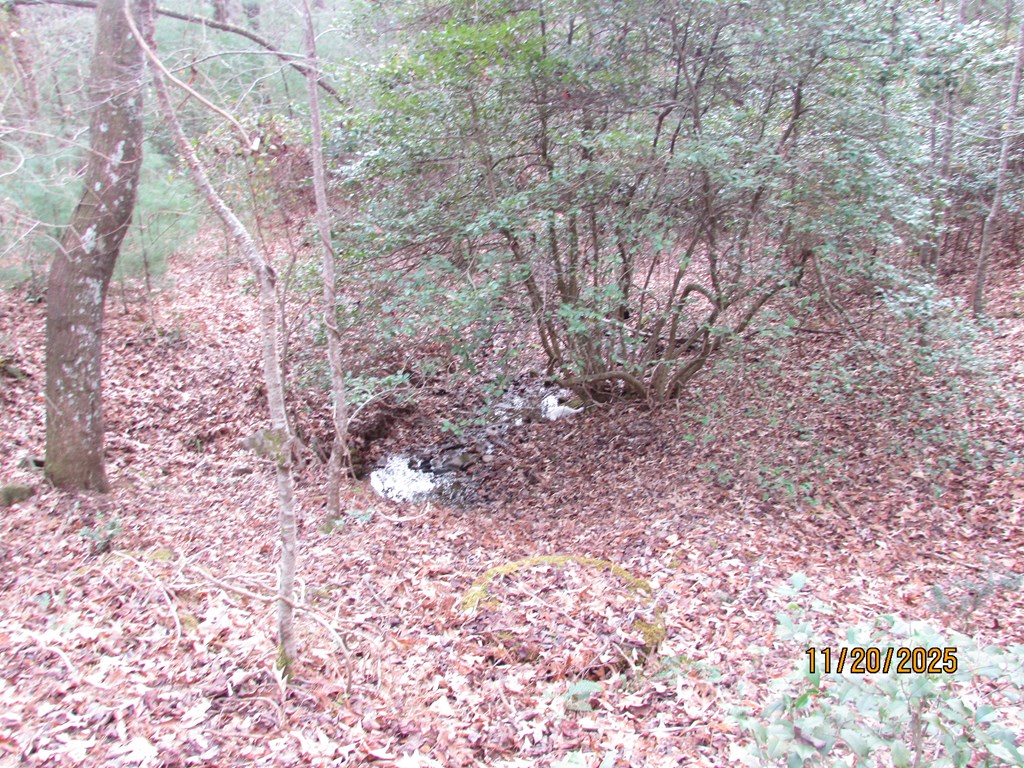 420561 Hayesville Residential