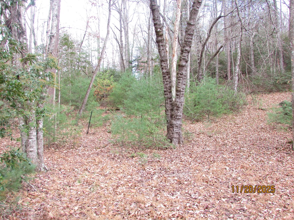 420561 Hayesville Residential