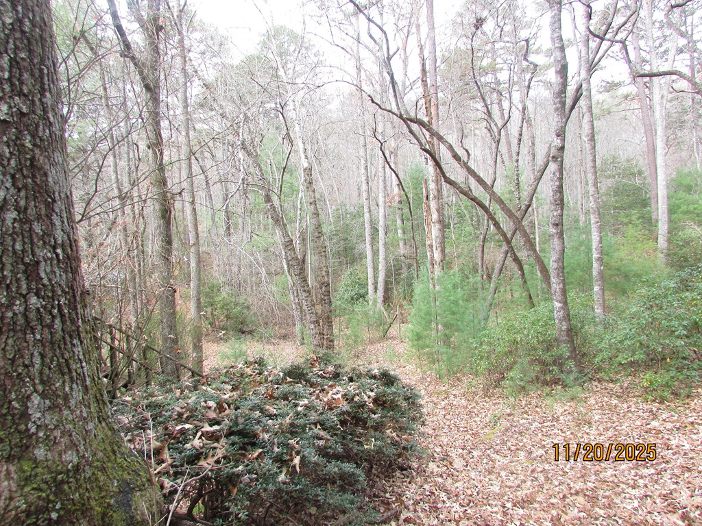 420561 Hayesville Residential